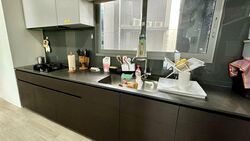 Amber Park (D15), Condominium #608079971